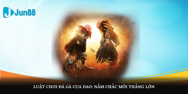 Đá Gà Cựa Dao – Khám Phá Luật Chơi Và Mẹo Cá Cược Tinh Anh 2 Luật chơi đá gà cựa dao: Nắm chắc mới thắng lớn