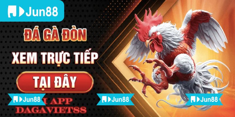 App đá gà trực tiếp Jun88 chất lượng HD hỗ trợ đặt cược dễ dàng 1 App đá gà trực tiếp Jun88 hỗ trợ mọi thao tác từ xem trận, xem kèo đến theo dõi kết quả dễ dàng