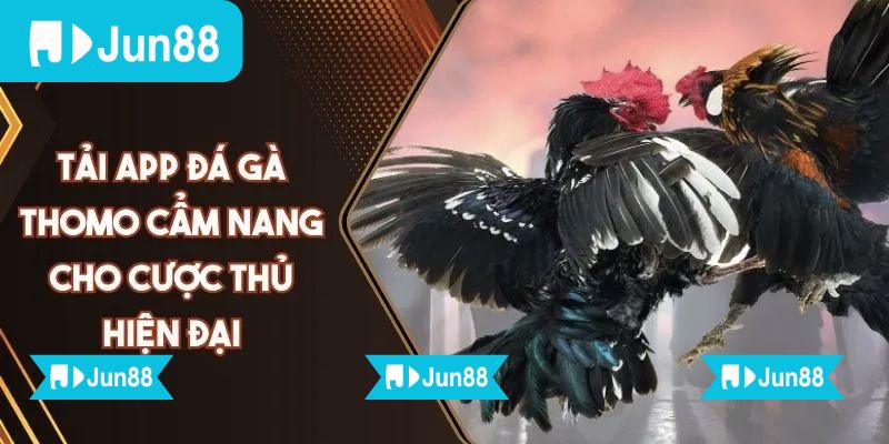 App đá gà trực tiếp Jun88 chất lượng HD hỗ trợ đặt cược dễ dàng 2 Chỉ cần vài thao tác đơn giản là có thể theo dõi mọi trận gà ngay trên điện thoại